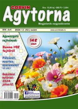 Agytorna