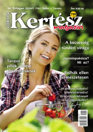 Kertész magazin